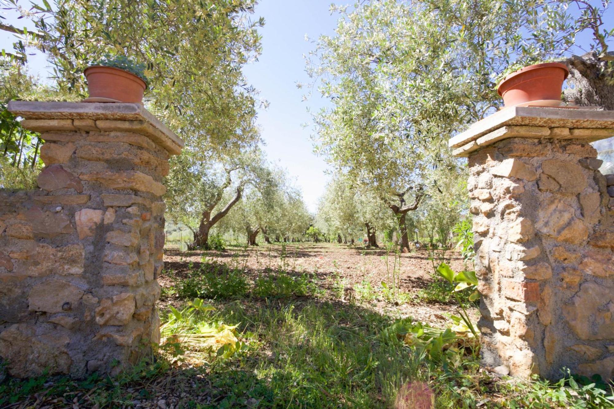 Villa Pedra Moro 阿尔盖罗 外观 照片
